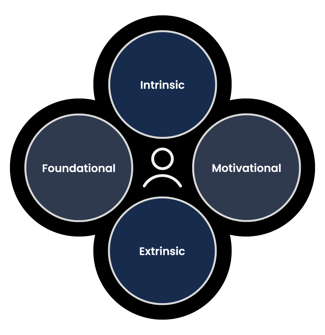 Values framework model