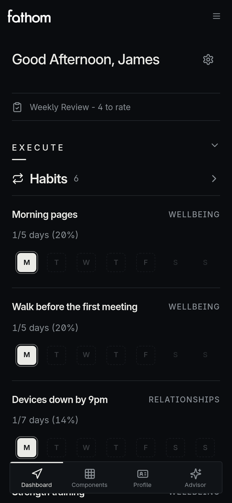 The Fathom Dashboard on a phone